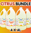 Citrus Bundle - 4x4L Hand Soap and Dish Soap