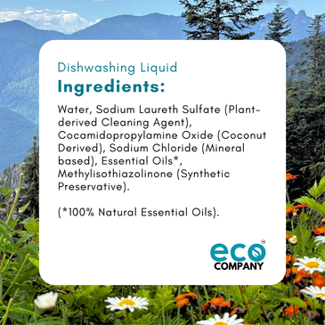 Dishwashing Liquid - Lavender
